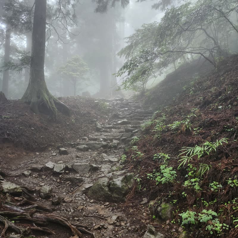 Foto · Monte Oyama · 50/51