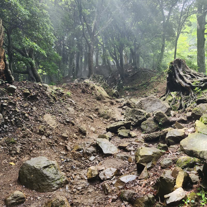 Foto · Monte Oyama · 3/51