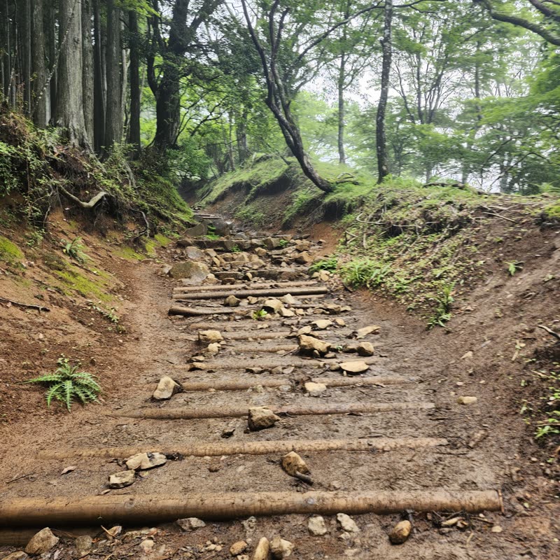 Foto · Monte Oyama · 5/51