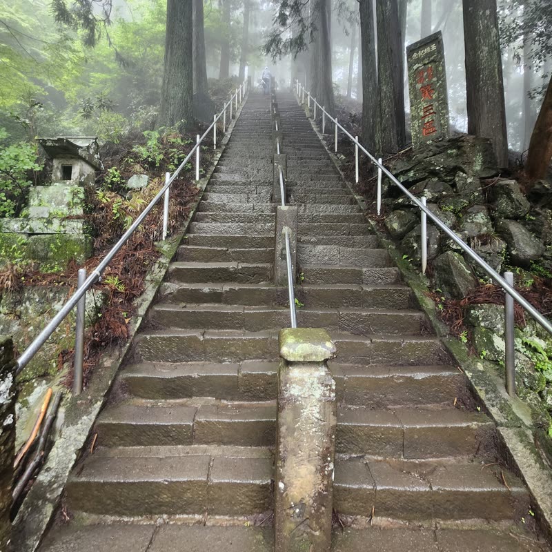 Foto · Monte Oyama · 31/51