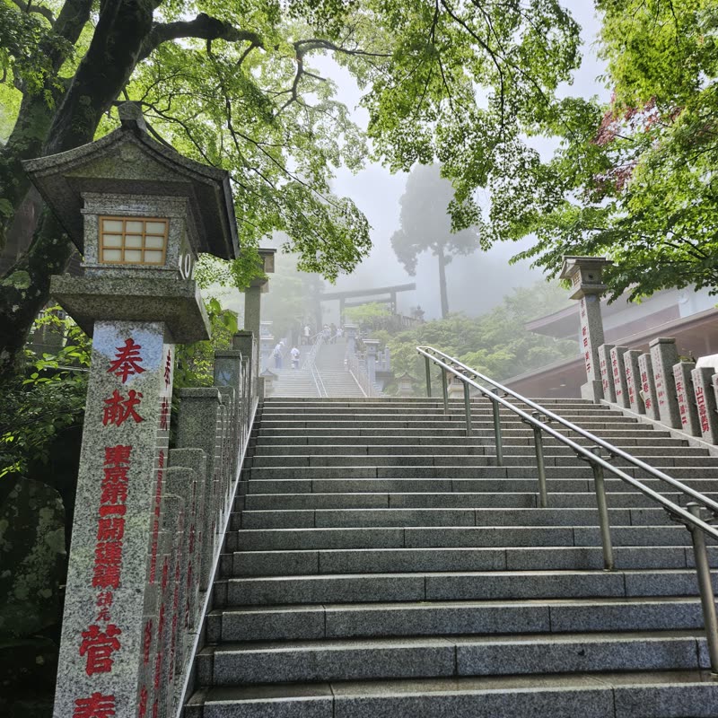 Foto · Monte Oyama · 15/51
