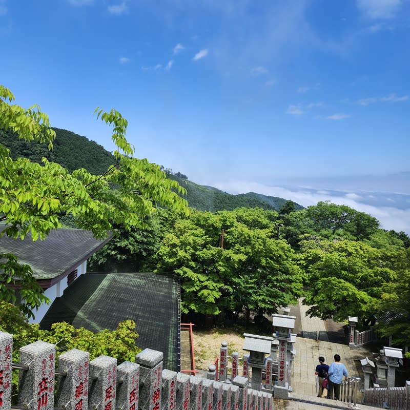 Foto · Monte Oyama · 21/51