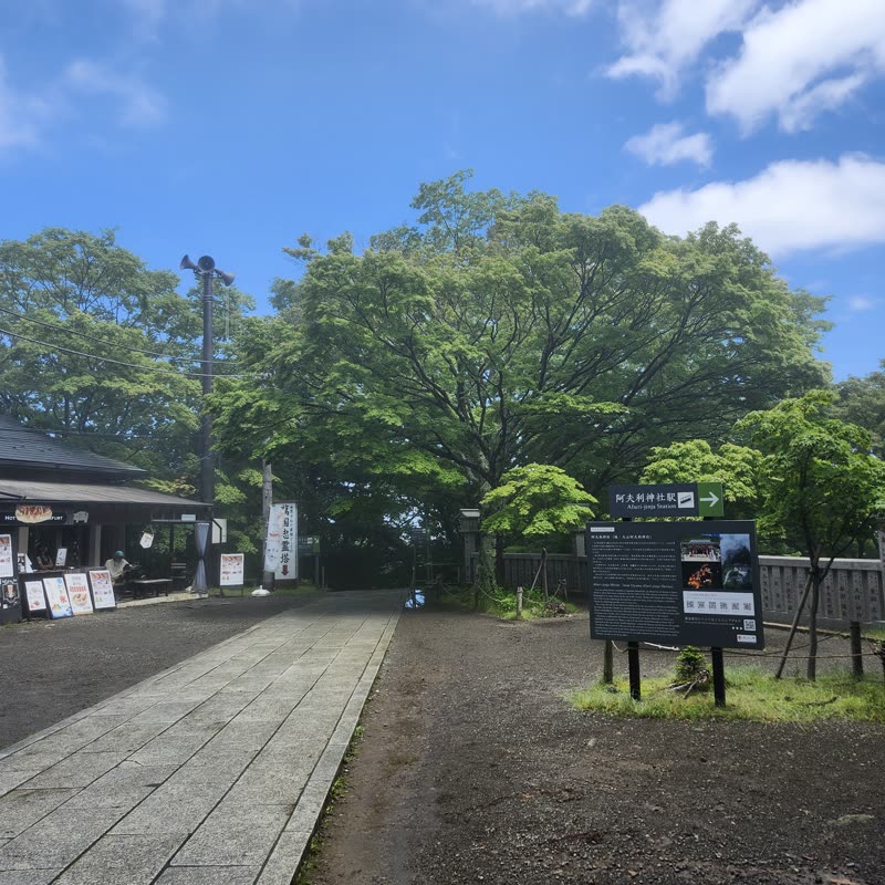 Foto · Monte Oyama · 16/51