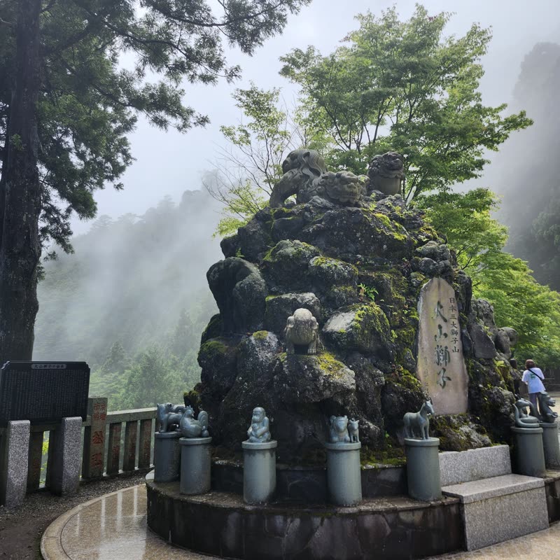Foto · Monte Oyama · 24/51
