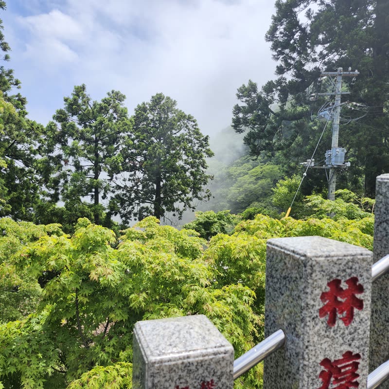 Foto · Monte Oyama · 19/51