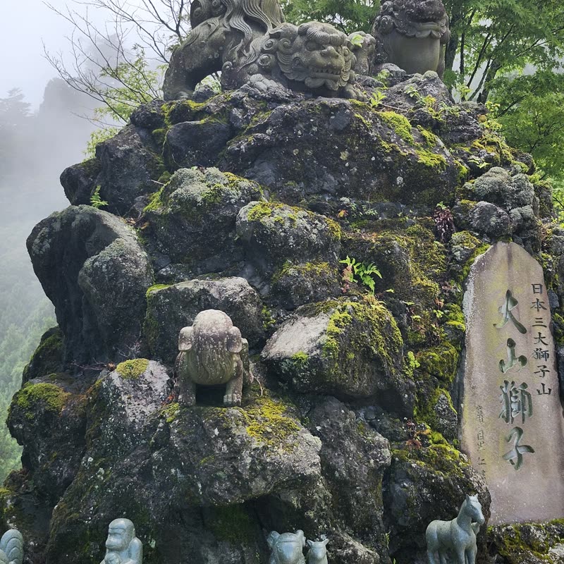 Foto · Monte Oyama · 25/51