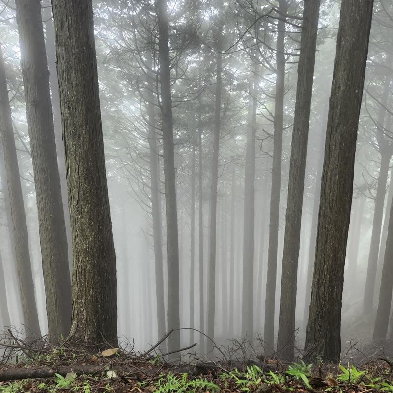 Foto · Monte Oyama · 6/51