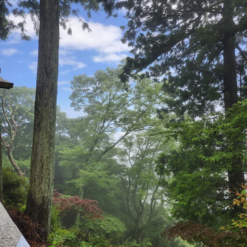 Foto · Monte Oyama · 14/51