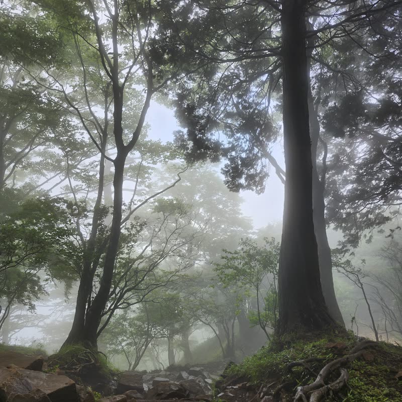Foto · Monte Oyama · 9/51