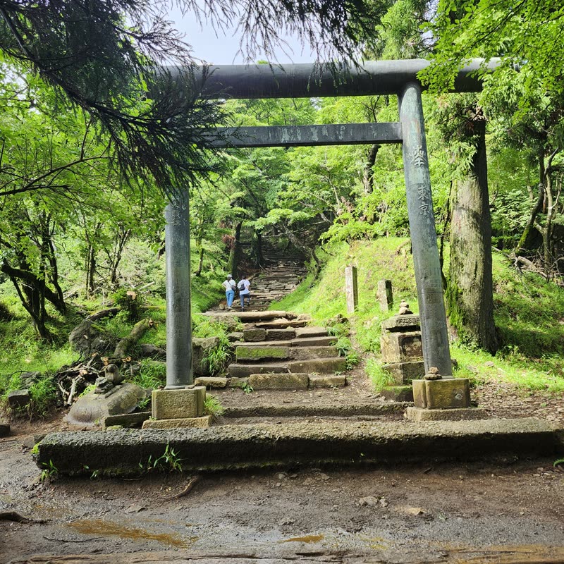 Foto · Monte Oyama · 39/51