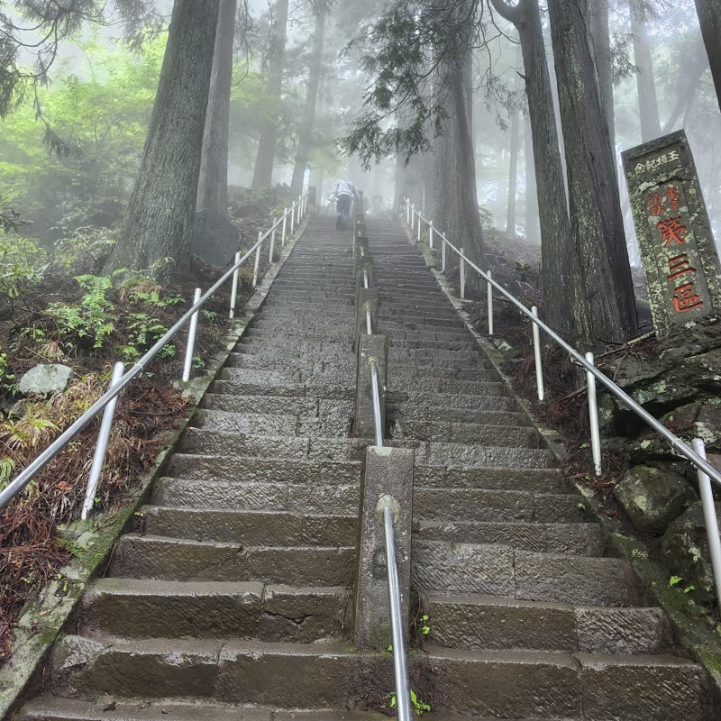 Foto · Monte Oyama · 30/51