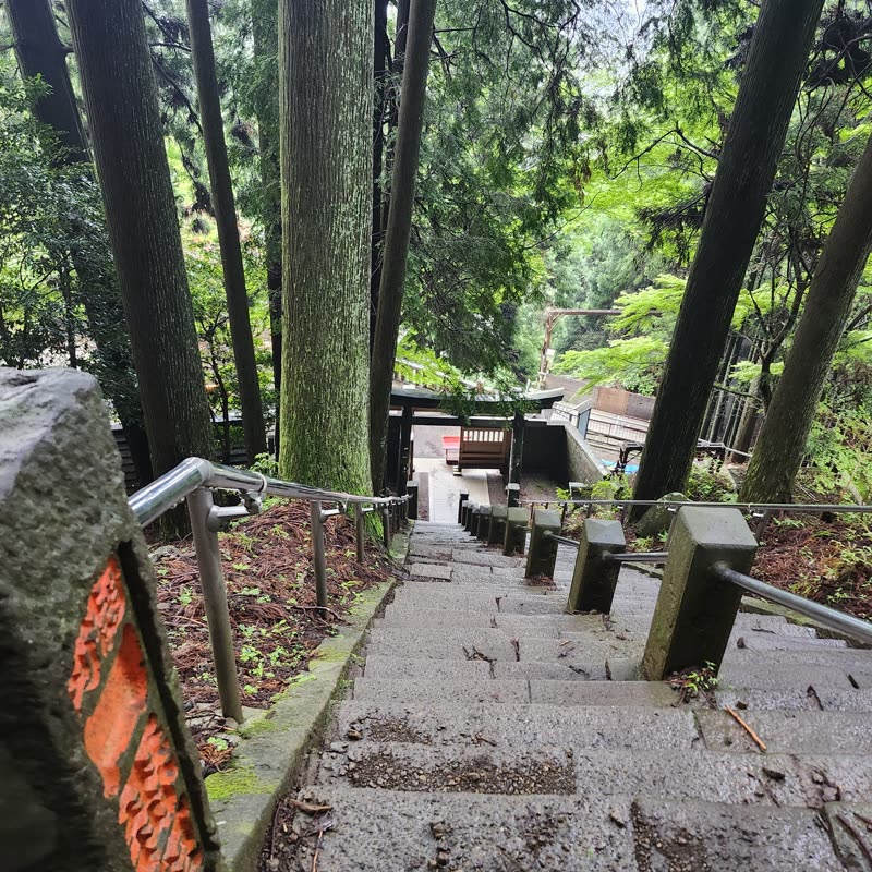 Foto · Monte Oyama · 41/51