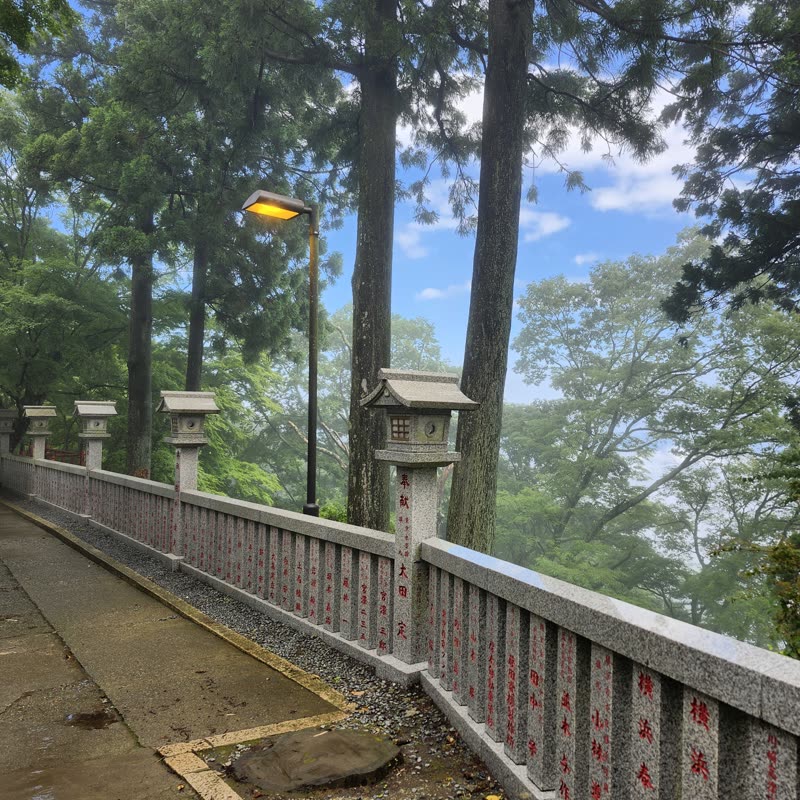 Foto · Monte Oyama · 49/51