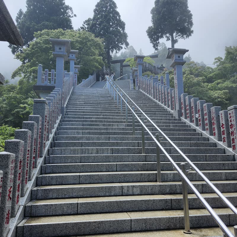 Foto · Monte Oyama · 17/51