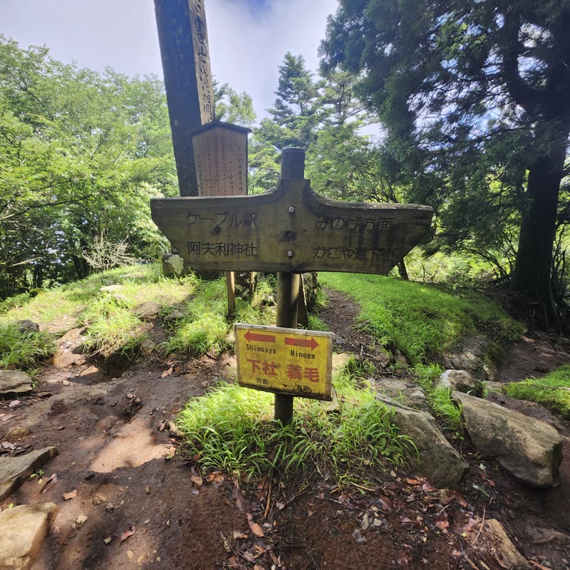 Foto · Monte Oyama · 33/51